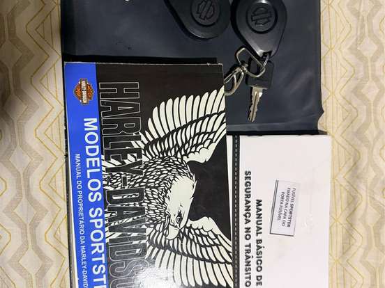 HARLEY-DAVIDSON-SPORTSTER IRON 883 HARLEY-DAVIDSON-SPORTSTER IRON 883-2019