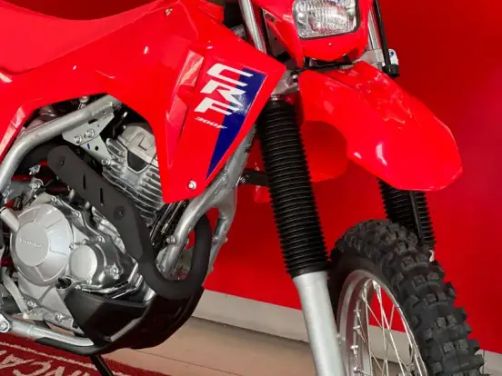 HONDA-CRF 300F HONDA-CRF 300F-2026