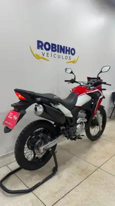 HONDA-XRE 300 ABS HONDA-XRE 300 ABS-2021