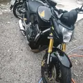 HONDA CB 600F HORNET HONDA CB 600F HORNET