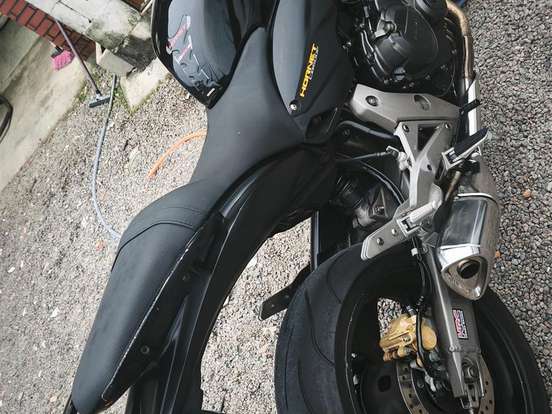 HONDA-CB 600F HORNET HONDA-CB 600F HORNET-2010