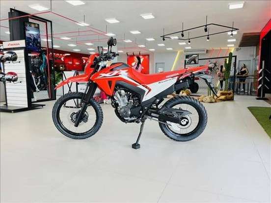 HONDA-XR 300L TORNADO HONDA-XR 300L TORNADO-2024