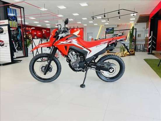HONDA-XR 300L TORNADO HONDA-XR 300L TORNADO-2024