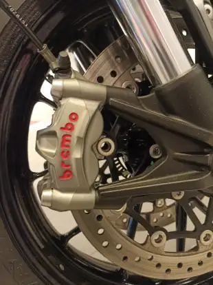 TRIUMPH-SPEED TWIN-2022