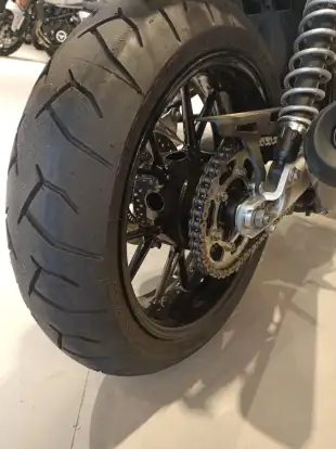 TRIUMPH-SPEED TWIN-2022