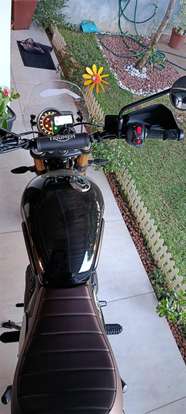 TRIUMPH-SCRAMBLER 400 X-2024
