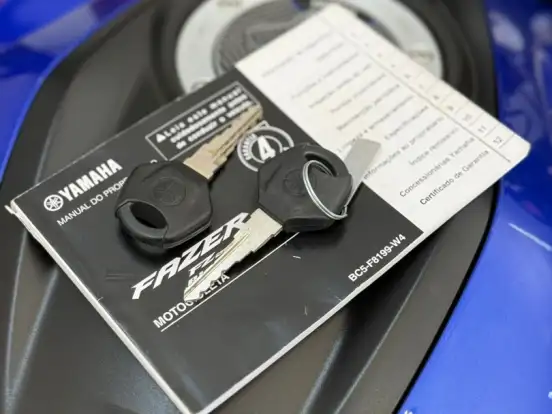 YAMAHA-FZ25 FAZER ABS YAMAHA-FZ25 FAZER ABS-2023