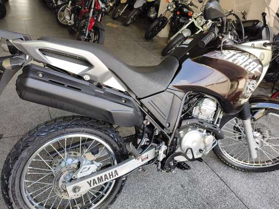 YAMAHA-XTZ 250 TÉNÉRÉ BLUEFLEX YAMAHA-XTZ 250 TÉNÉRÉ BLUEFLEX-2017