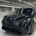 BMW iX2 64,8 KW ELÉTRICO XDRIVE30 M SPORT BMW iX2 64,8 KW ELÉTRICO XDRIVE30 M SPORT