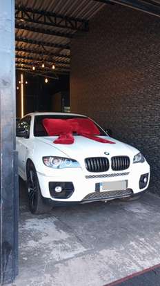 BMW-X6-2010