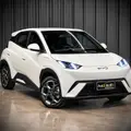 BYD DOLPHIN MINI 38 KW ELÉTRICO GL BYD DOLPHIN MINI 38 KW ELÉTRICO GL