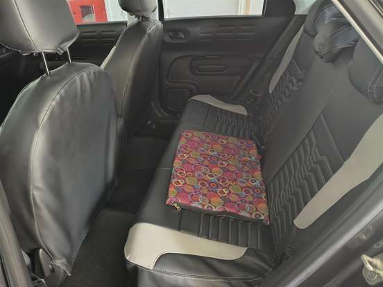 CITROËN-C4 CACTUS-1.6 VTI 120 FLEX FEEL EAT6 CITROËN-C4 CACTUS-2020