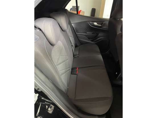 FIAT-PULSE-2024