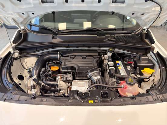 FIAT-PULSE-2024