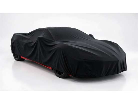 FIAT-PULSE-2024
