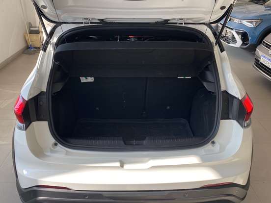 FIAT-PULSE-2024