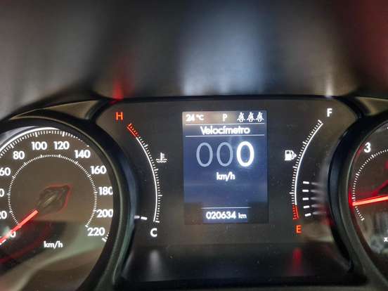 FIAT-PULSE-2024
