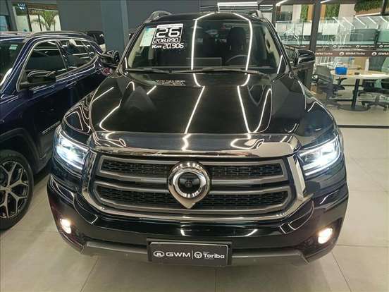 GWM-POER P30-2025