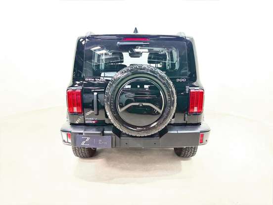 GWM-TANK 300-2025