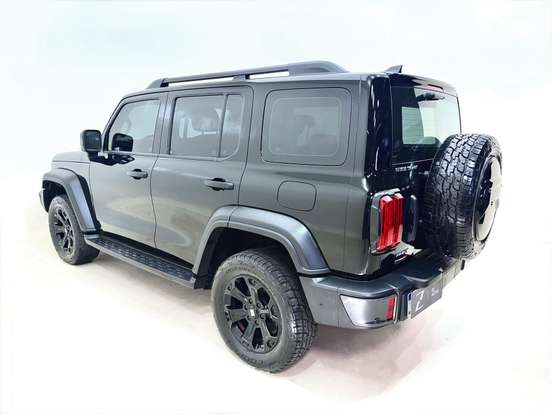 GWM-TANK 300-2025