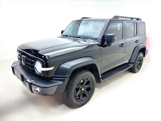 GWM-TANK 300-2025