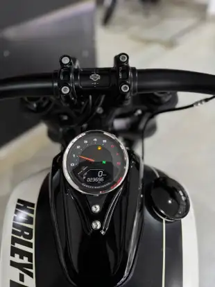 HARLEY-DAVIDSON-DYNA FAT BOB-2018
