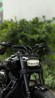 HARLEY-DAVIDSON-SOFTAIL FAT BOB 114 HARLEY-DAVIDSON-SOFTAIL FAT BOB 114-2021