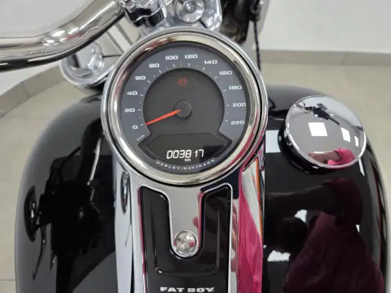HARLEY-DAVIDSON-SOFTAIL FAT BOY 117-2025