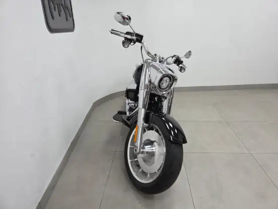 HARLEY-DAVIDSON-SOFTAIL FAT BOY 117 HARLEY-DAVIDSON-SOFTAIL FAT BOY 117-2025