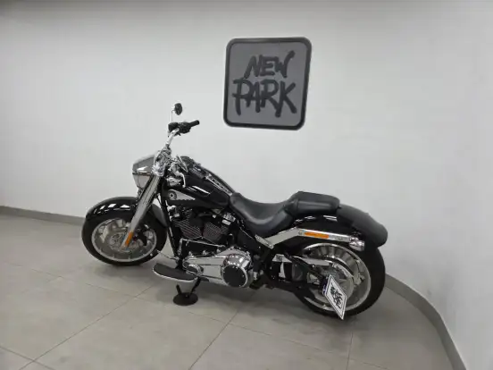 HARLEY-DAVIDSON-SOFTAIL FAT BOY 117 HARLEY-DAVIDSON-SOFTAIL FAT BOY 117-2025