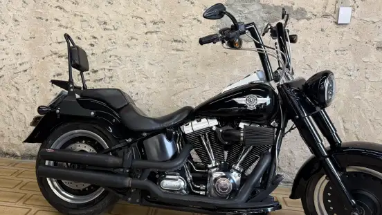 HARLEY-DAVIDSON-SOFTAIL FAT BOY SPECIAL-2012