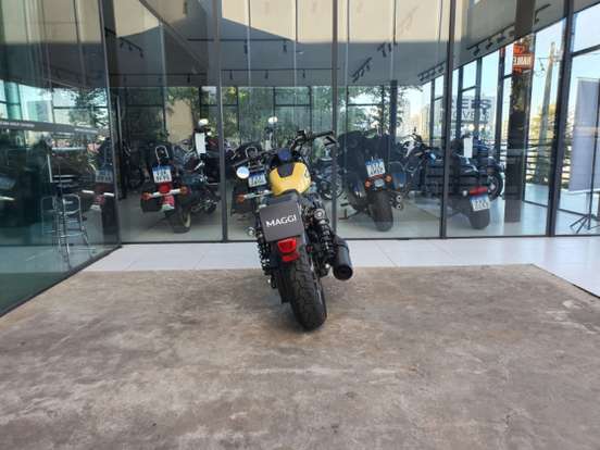 HARLEY-DAVIDSON-NIGHTSTER SPECIAL-2023