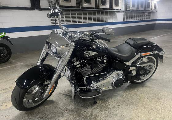 HARLEY-DAVIDSON SOFTAIL FAT BOY 117 