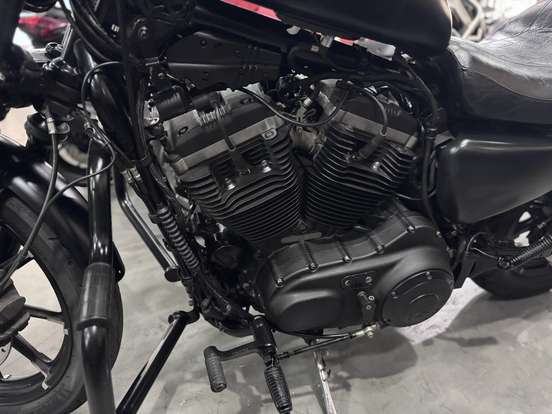 HARLEY-DAVIDSON-SPORTSTER IRON 883-2020