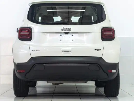 JEEP-RENEGADE-1.3 T270 TURBO FLEX SAHARA AT6 JEEP-RENEGADE-2024