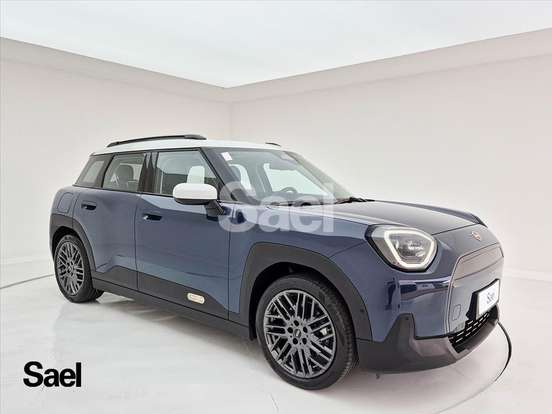 MINI-ACEMAN-2024