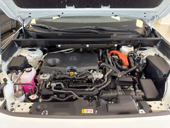 TOYOTA-RAV4-2024