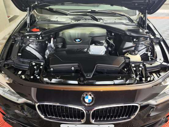 BMW-320i-2.0 16V TURBO ACTIVE FLEX 4P AUTOMÁTICO BMW-320i-2013