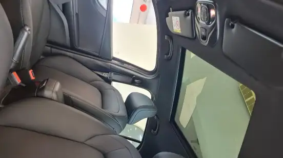 FIAT-PULSE-2025