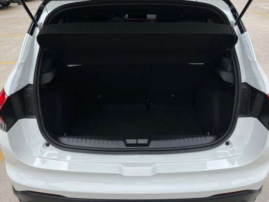 FIAT-PULSE-2025