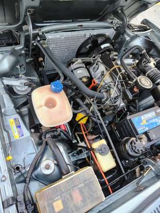 FORD-PAMPA-1993