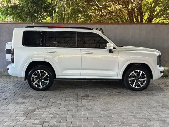 GWM-HAVAL H9-2025