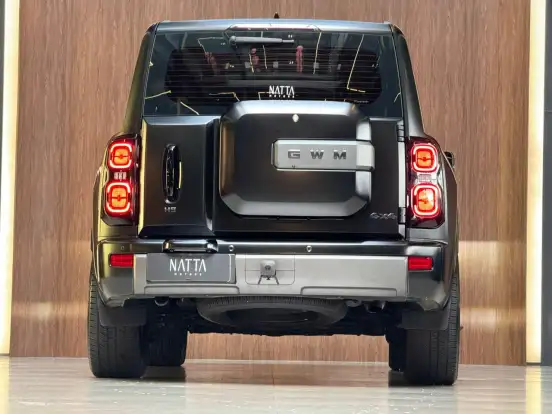 GWM-HAVAL H9-2025