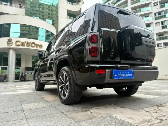GWM-HAVAL H9-2025