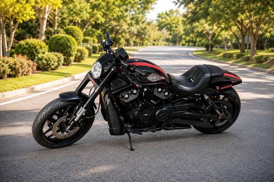 HARLEY-DAVIDSON NIGHT ROD SPECIAL 