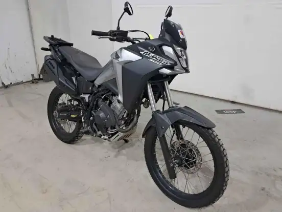 HONDA-XRE 300 SAHARA HONDA-XRE 300 SAHARA-2024