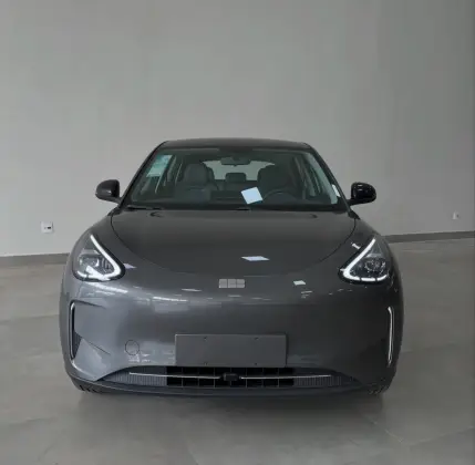 GEELY EX2 39,4 KW ELÉTRICO PRO