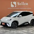 BYD DOLPHIN MINI 38 KW ELÉTRICO GS BYD DOLPHIN MINI 38 KW ELÉTRICO GS