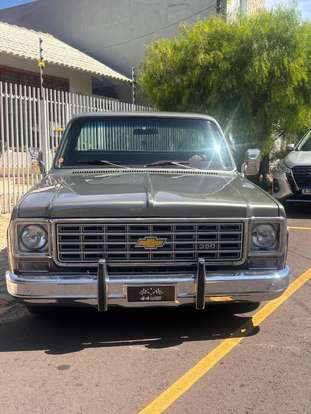 CHEVROLET-C20-1976