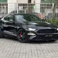 FORD MUSTANG 5.0 V8 TI-VCT GASOLINA BLACK SHADOW SELECTSHIFT FORD MUSTANG 5.0 V8 TI-VCT GASOLINA BLACK SHADOW SELECTSHIFT
